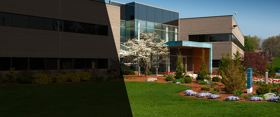 Le Sueur Landscapers