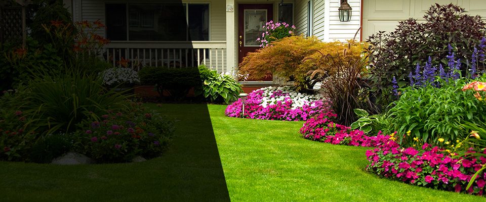 Le Sueur Landscapers