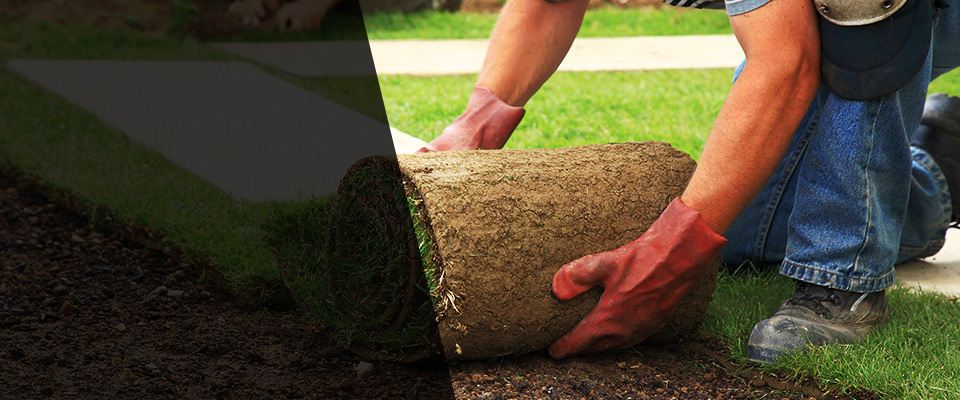 Le Sueur Landscapers
